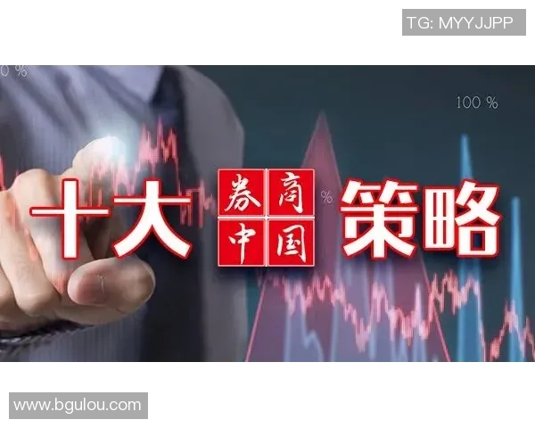 代怀博的成长之路与未来发展展望：从起步到行业领军者的蜕变之旅