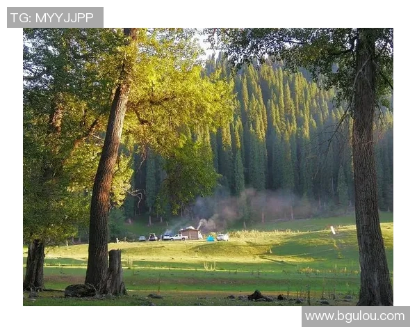 尼斯对尼姆精彩直播全程回放及赛后分析尽在这里 尼斯对尼姆精彩直播全程回放及赛后分析尽在这里