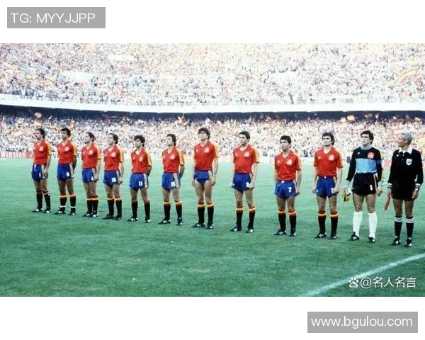 北爱尔兰与荷兰足球历史交锋回顾与分析