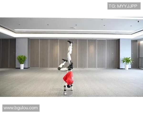 极限运动新风潮：探秘北京极限运动队的技术创新与挑战MBA