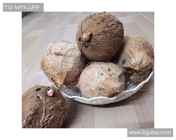 头号种子与三号种子的巅峰对决谁将赢得最终胜利