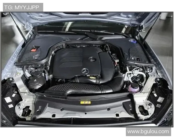 波士顿VS260精彩对决解析及比赛亮点回顾 波士顿VS260精彩对决解析及比赛亮点回顾