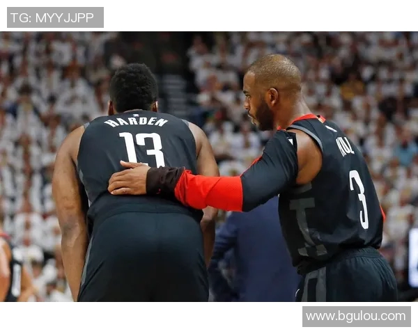 灰熊与山猫精彩对决全场录像回放及精彩瞬间分析