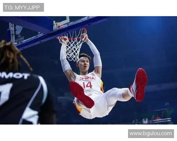 霍华德与王哲林对决引发的篮球热潮与未来展望分析