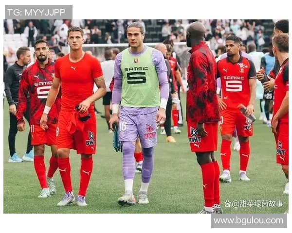 雷恩与南特对决主裁判表现分析及比赛影响探讨