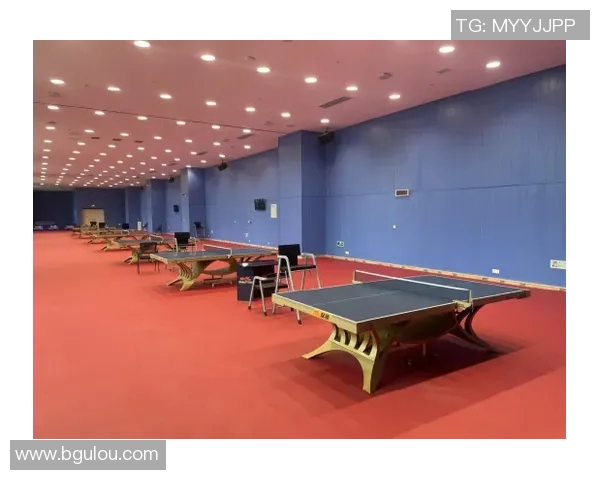 乒乓球的魅力揭秘成都乒乓球队灵活性训练全景探访