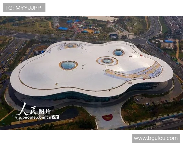 武汉极限运动队的意识探讨与极限运动文化的融合之路